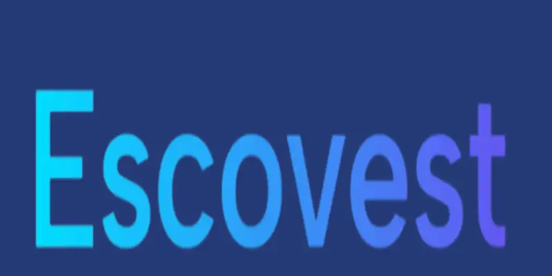 Обзор - Escovest