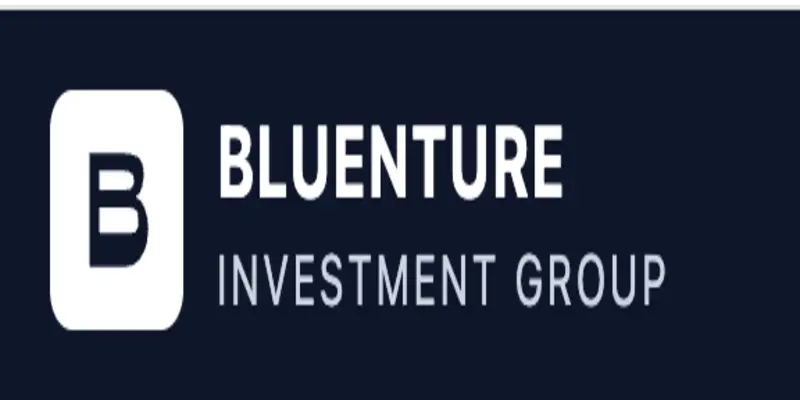 Обзор - Bluenture Investment Group