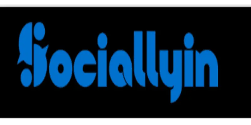 Обзор - Sociallyin
