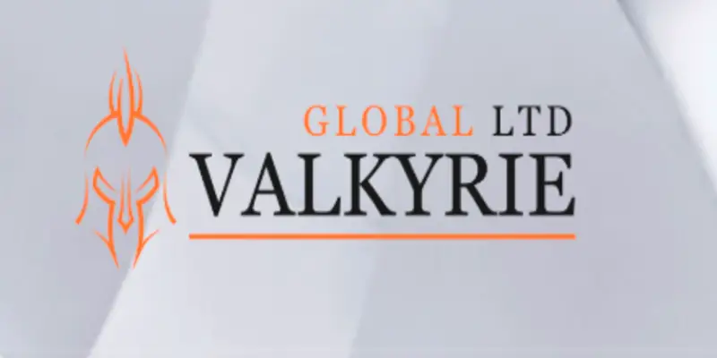 Обзор - Valkyrie Global Ltd