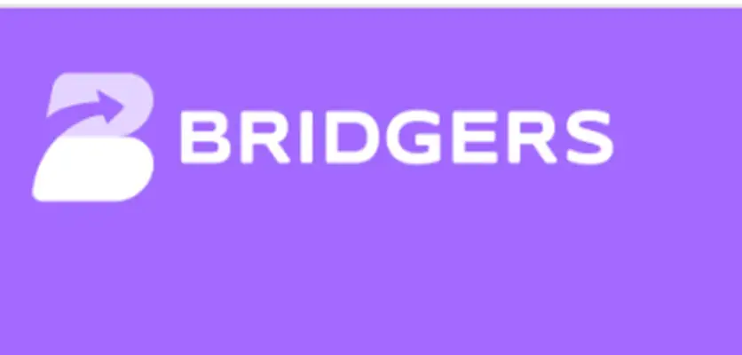 Обзор - Bridgers Обзор - Bridgers
