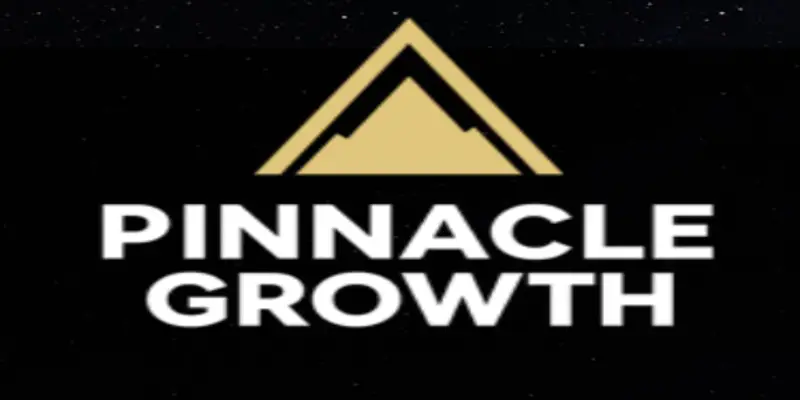 Обзор - Pinnacle Growth