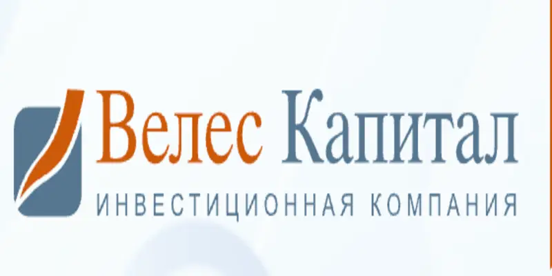 Обзор - Veles Capital (Clone)