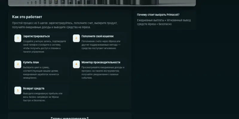 обзор на Primacoil Limited