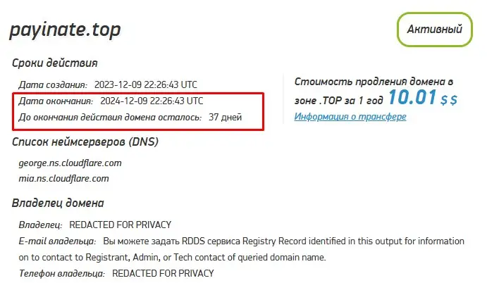 Проверка доменного имени payinate.pro
