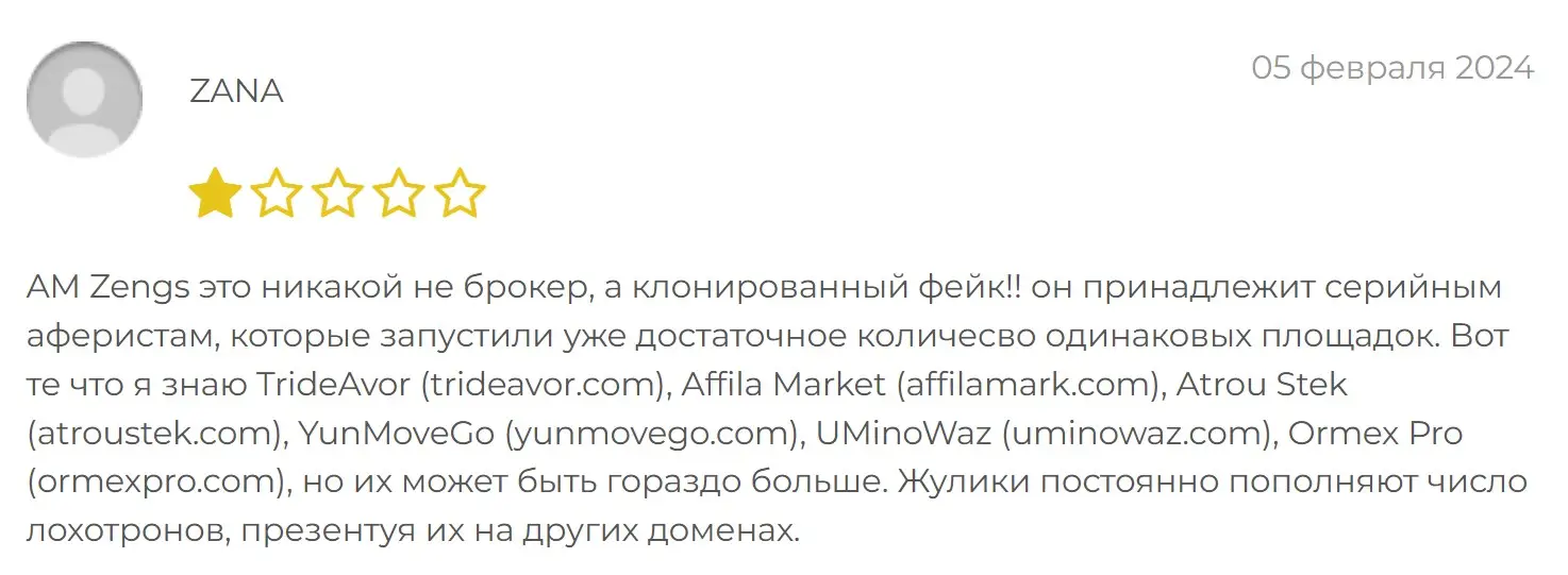 Отзыв о AM Zengs