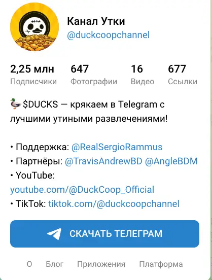 что известно? DUCKS