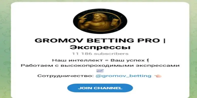 GROMOV BETTING PRO обзор проекта информация о GROMOV BETTING PRO