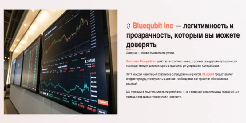 что известно? Bluequbit Trading