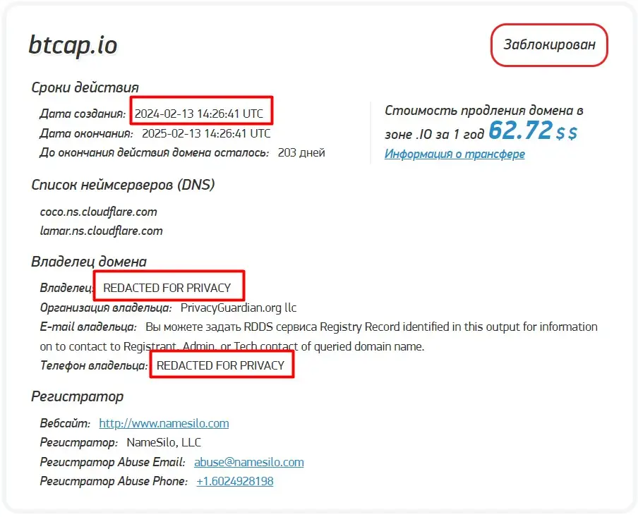 Проверка доменного имени btcap.io