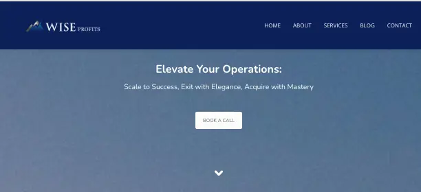 Wiseprofits информация обзор на Wiseprofits