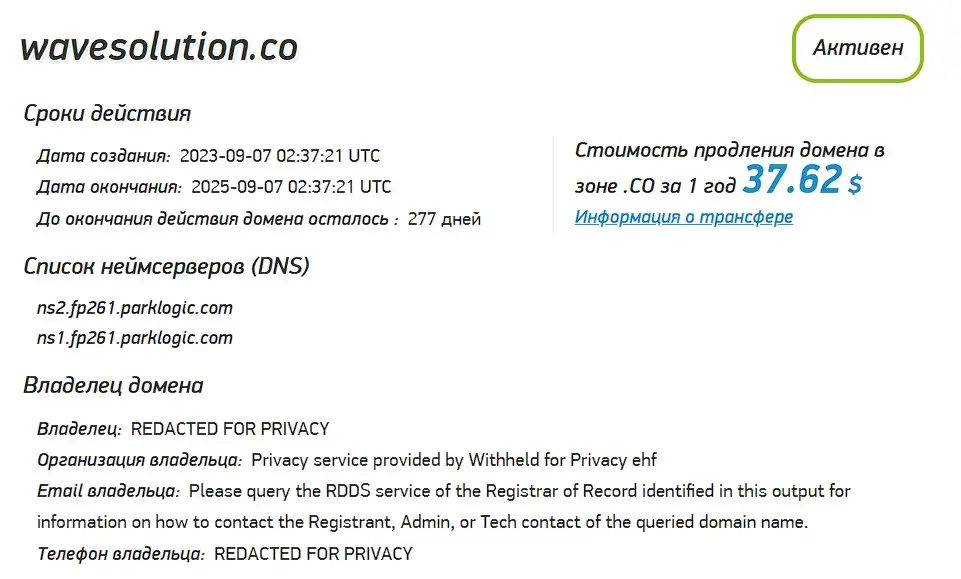 Проверка домена wavesolution.co