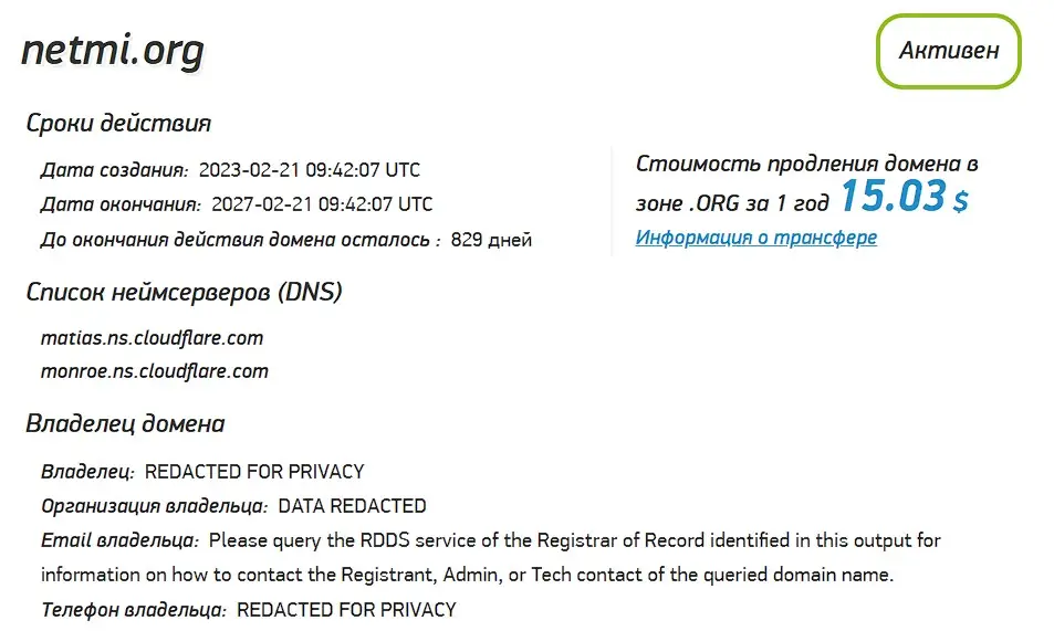 Проверка домена netmi.org