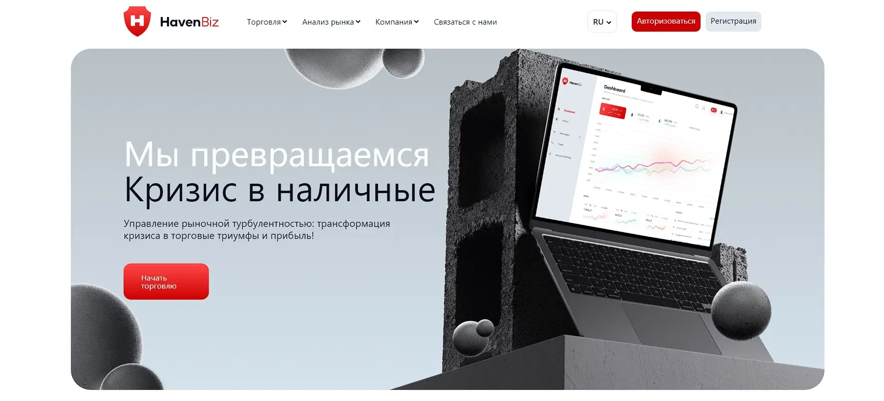 Основная информация о HavenBiz