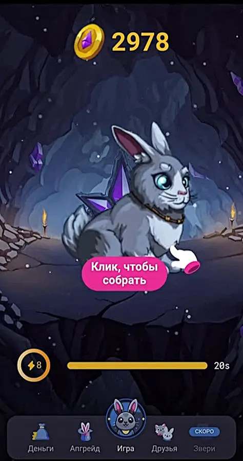 Как получить токены в Bunny App