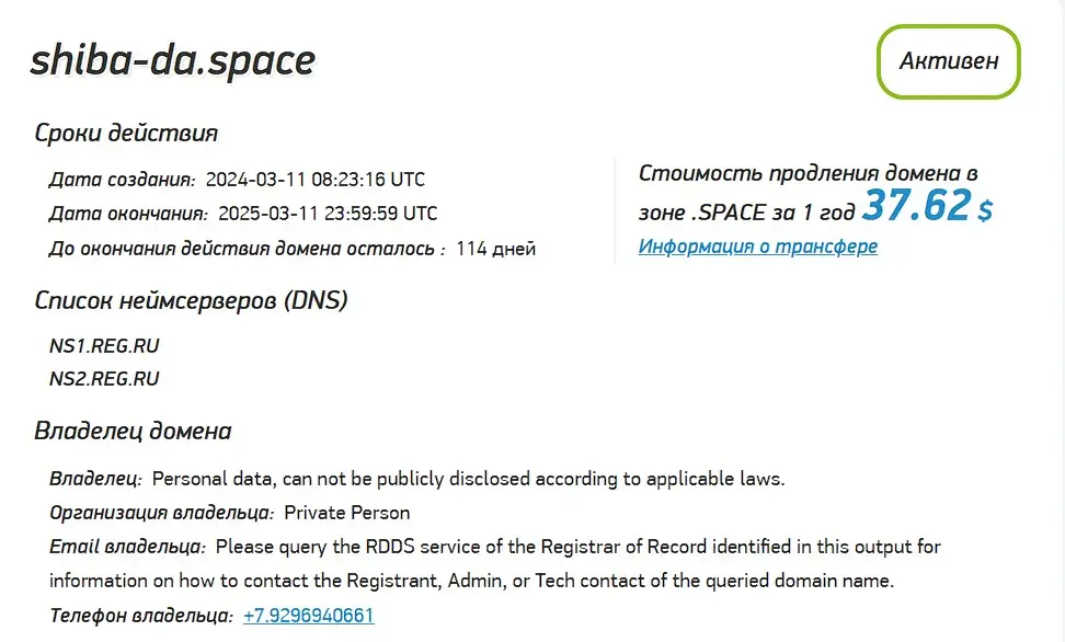 Проверка домена shiba-da.space