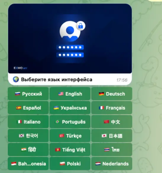 обзор на EXMO NFT