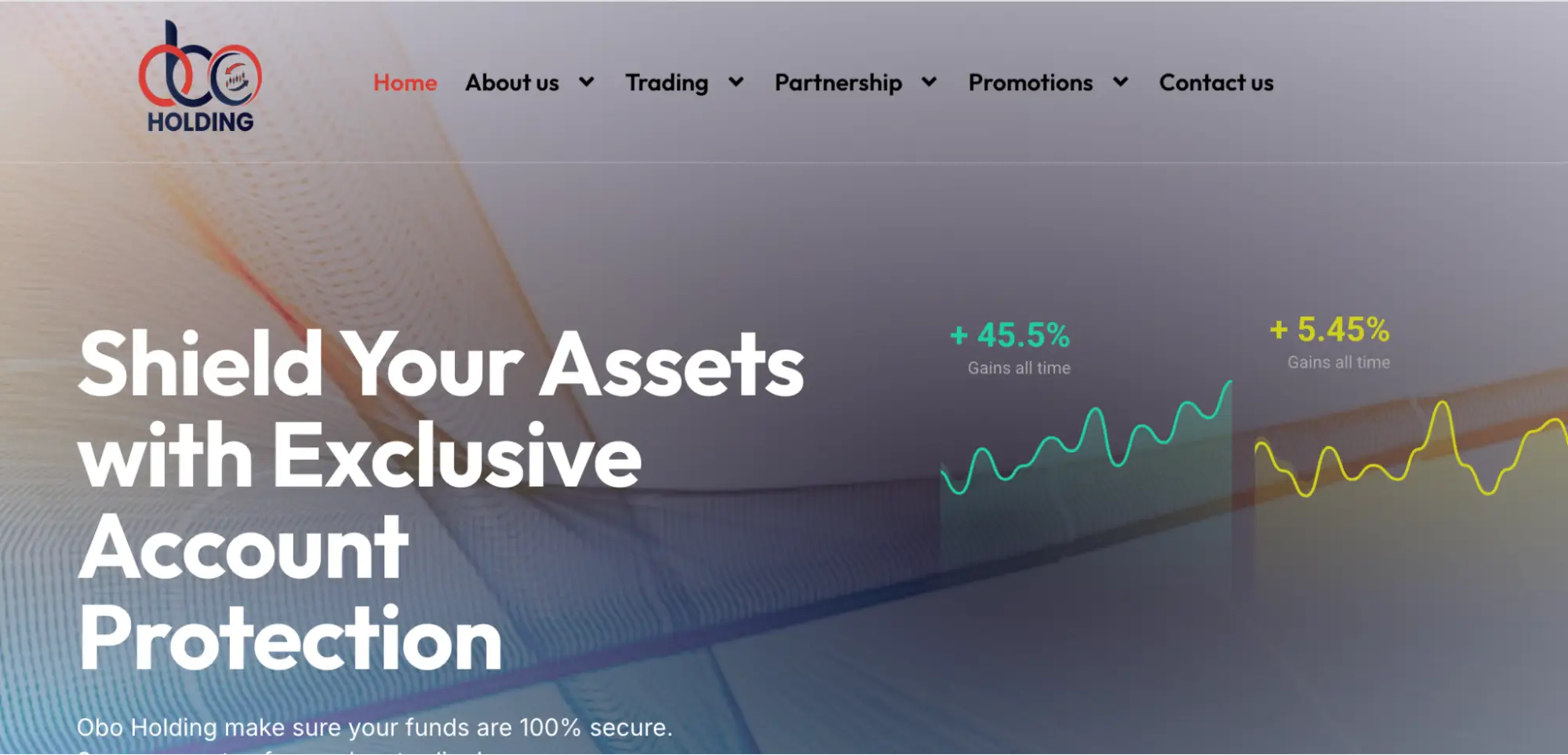 OBO Holding Ltd обзор