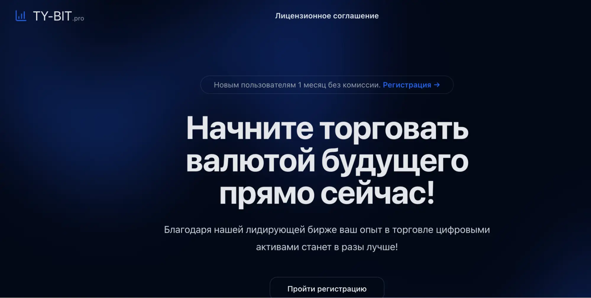 Ty-Bit Pro обзор обзор Ty-Bit Pro