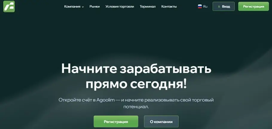 Основная информация о AgooLim
