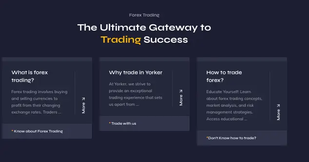 информация о Yorker Capital Markets