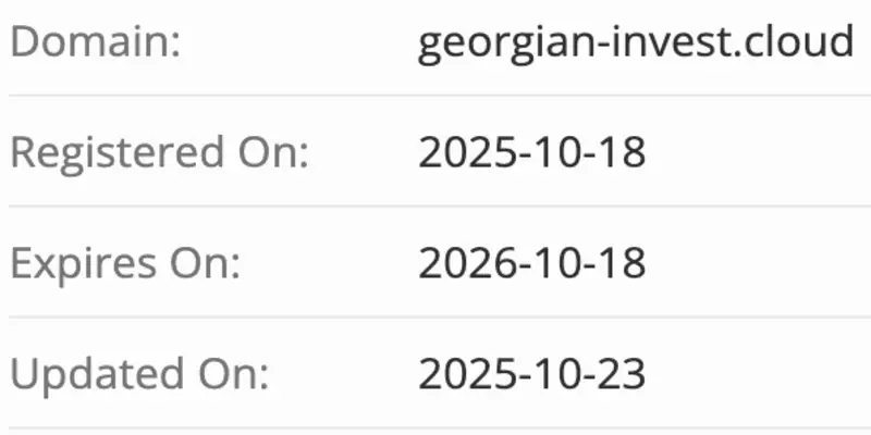 домен Georgian Invest