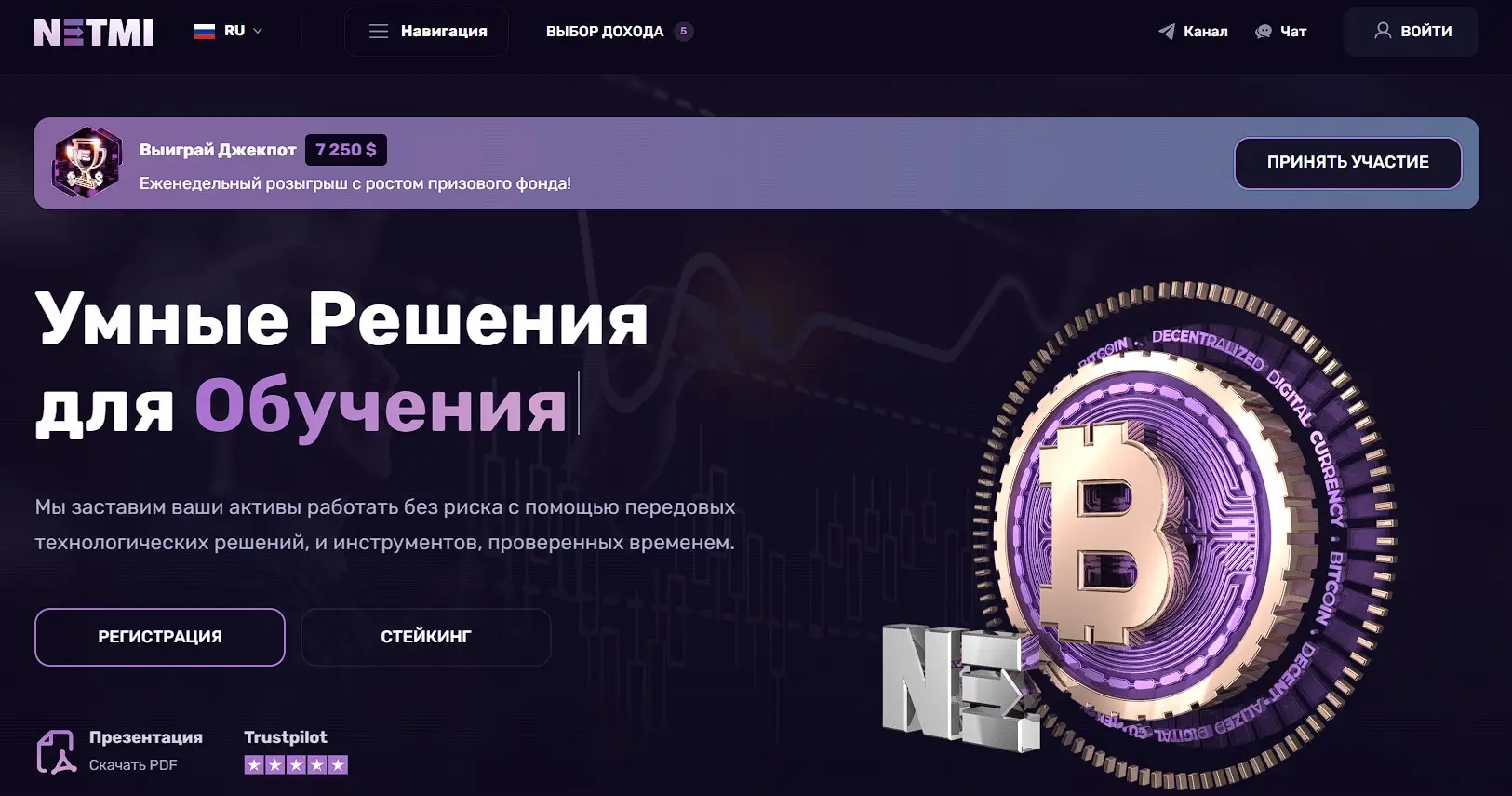 Основная информация о Netmi