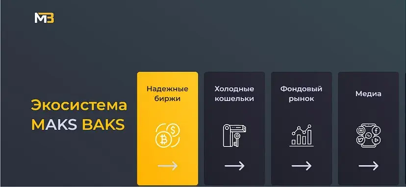 Обзор Инфоцыгана Max Baks