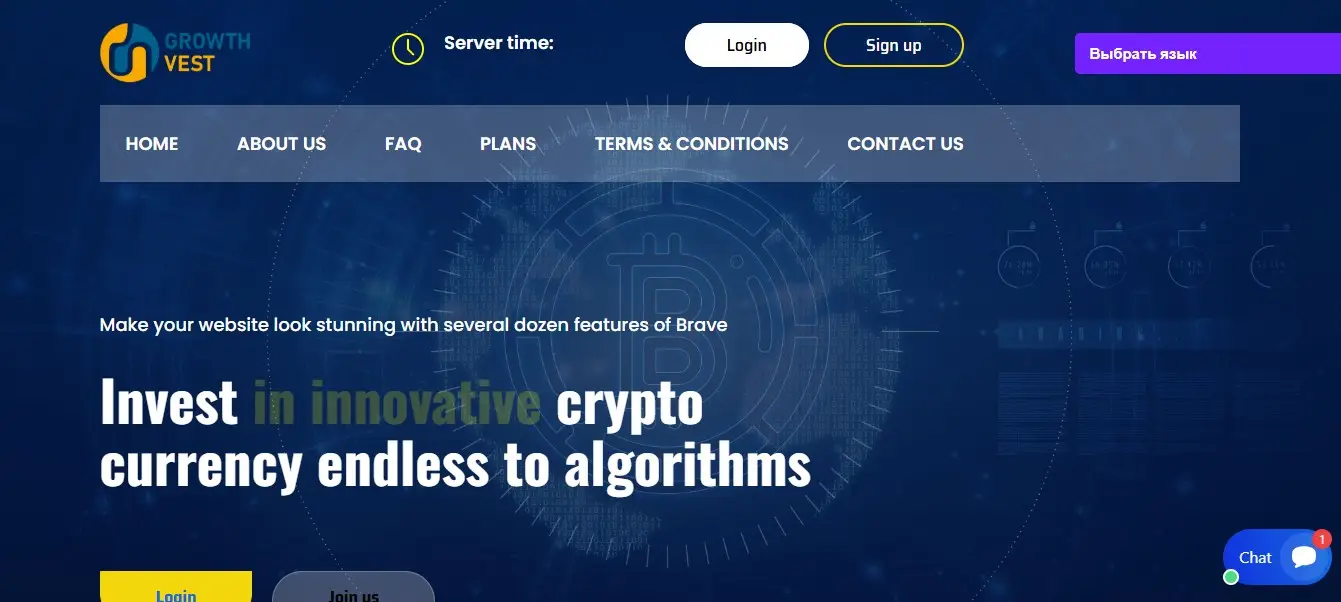 Основная информация о Growth Vest