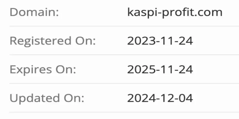 Kaspi Profit домен домен Kaspi Profit