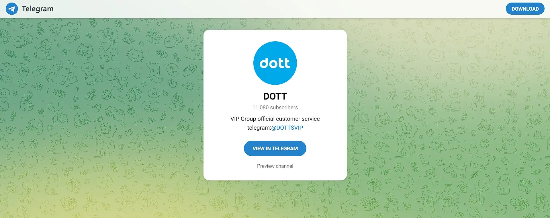 Обзор компании DOTT