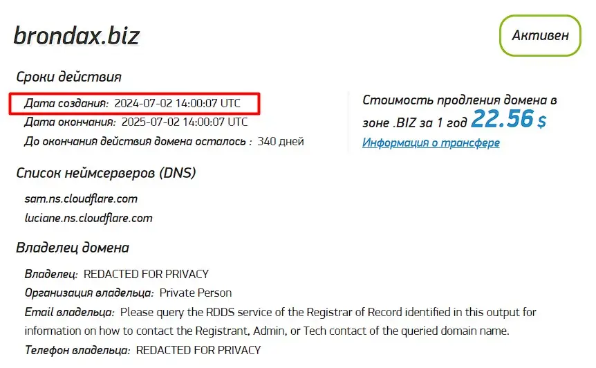Проверка доменного имени brondax.biz