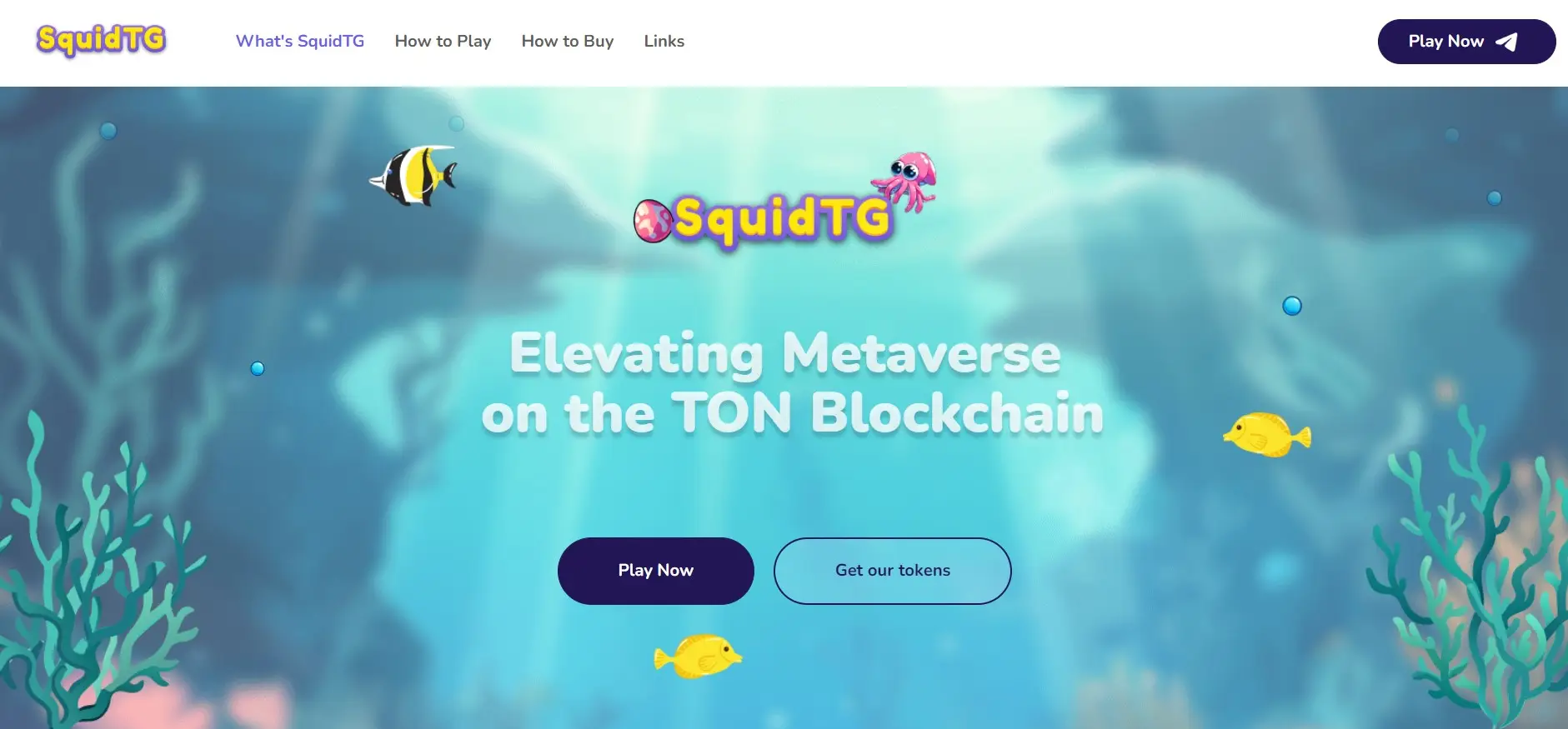 Как сделать вывод монет из SquidTG