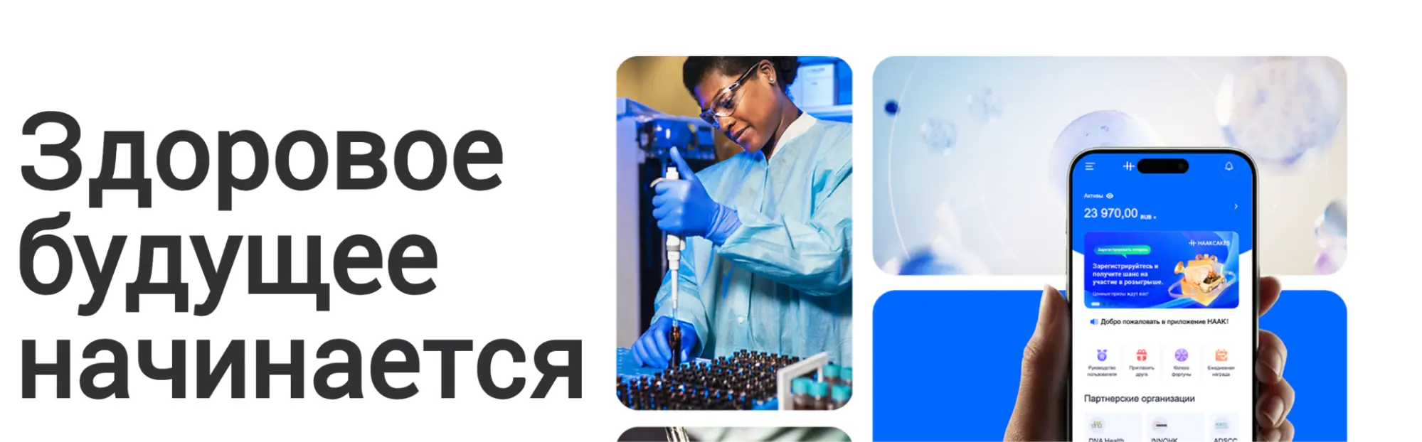 обзор Haak Limited Haak Limited обзор