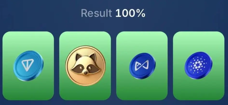 Tap Raccoon Coin комбо Tap Raccoon Coin комбо