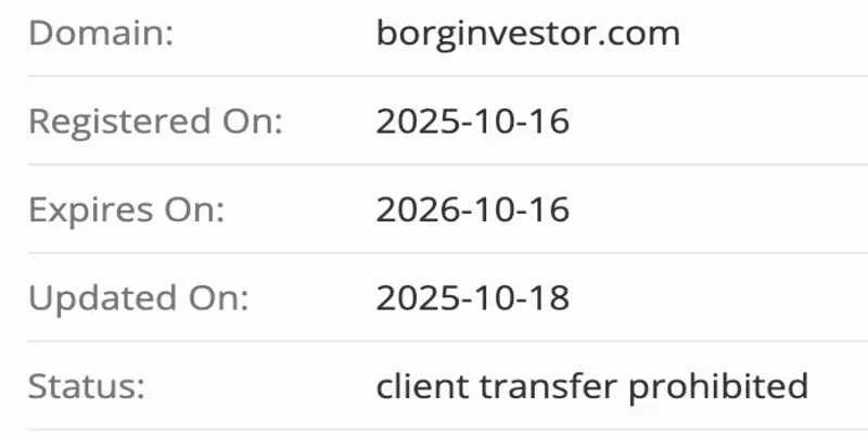 домен BorgInvestor