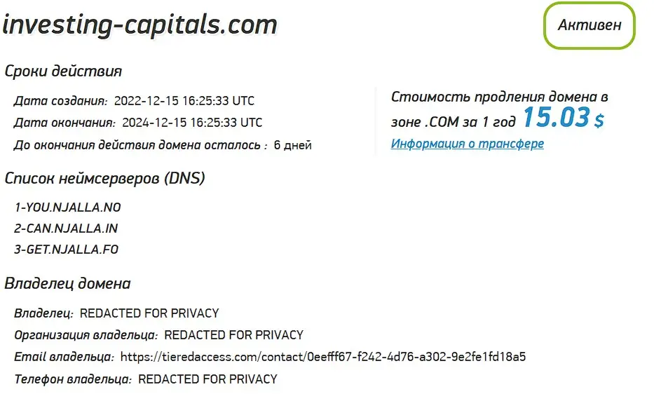 Проверка домена investing-capitals.com 