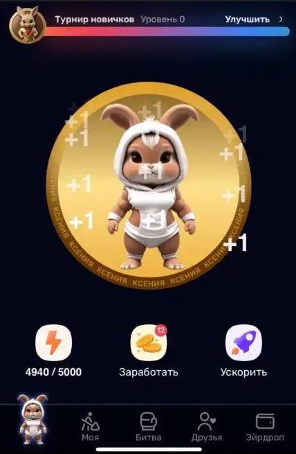 Комбо Rocky Rabbit