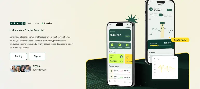 PINODEX инфо о сайте обзор на PINODEX