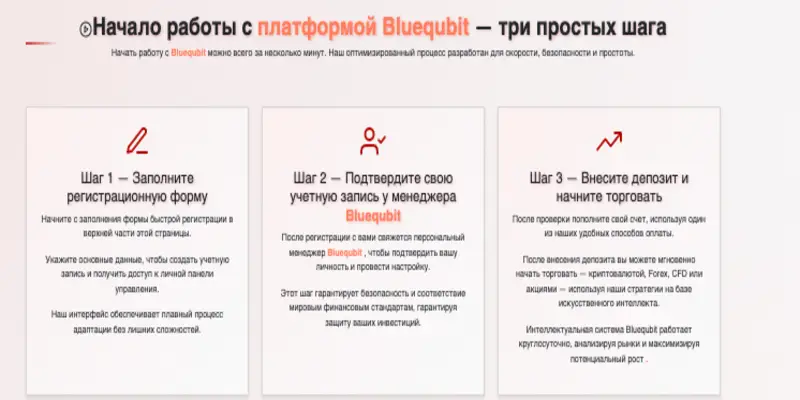 информация о Bluequbit Trading