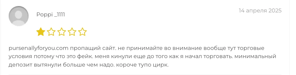 Pursenallyforyou отзывы людей