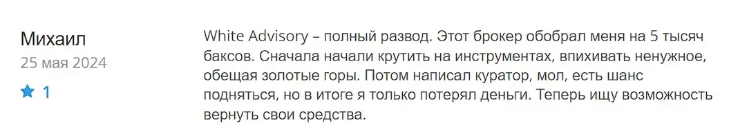 Отзыв о White Advisory Отзыв о White Advisory