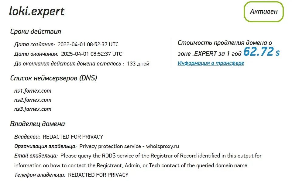 Проверка доменного имени loki.expert
