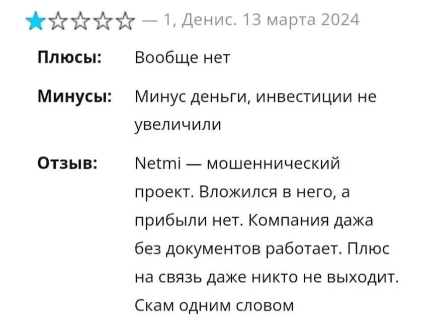 Отзыв о Netmi 