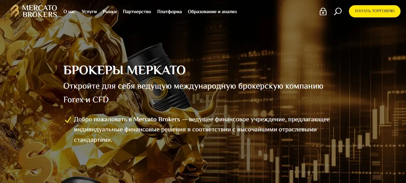 Основная информация о Mercato