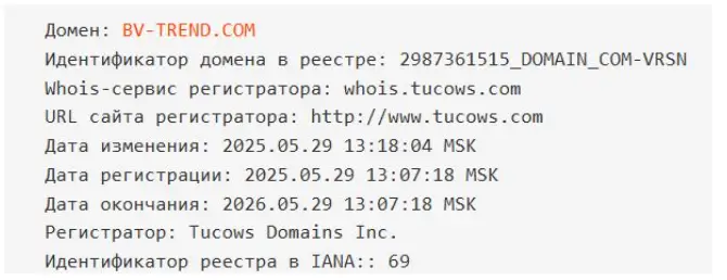 домен BV-trend