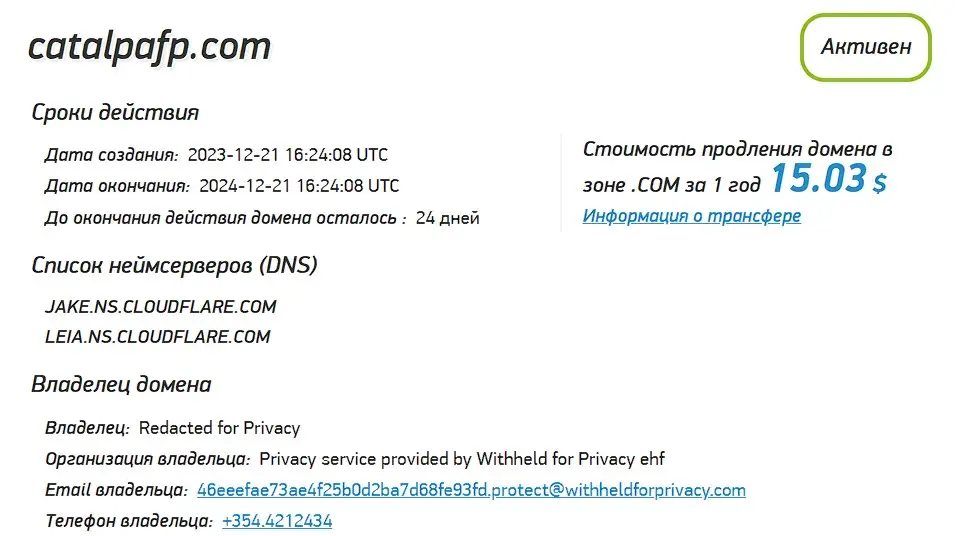 Проверка доменного имени catalpafp.com
