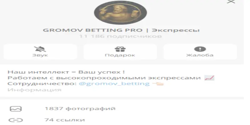 GROMOV BETTING PRO инфо о проекте обзор на GROMOV BETTING PRO
