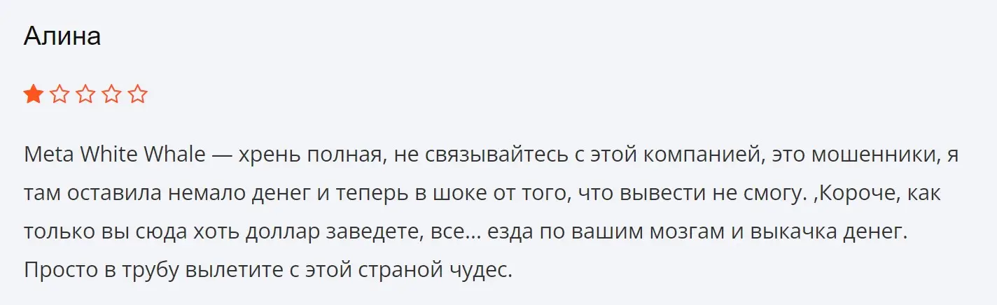 Отзыв пользователя о Meta White Whale Отзыв пользователя о Meta White Whale