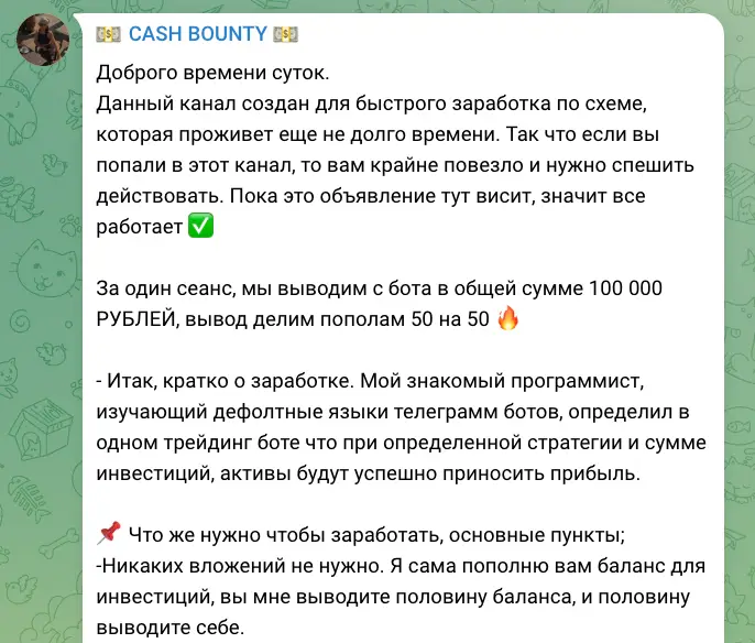 CASH BOUNTY обзор проекта инфо о сайте CASH BOUNTY